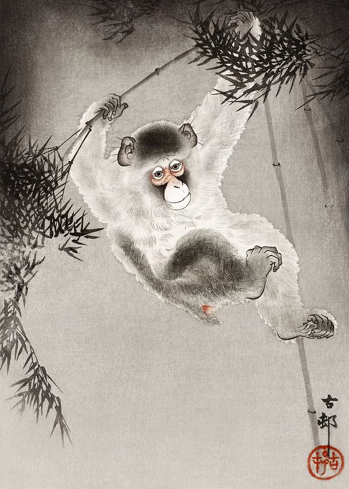 Monkey hanging from bamboo