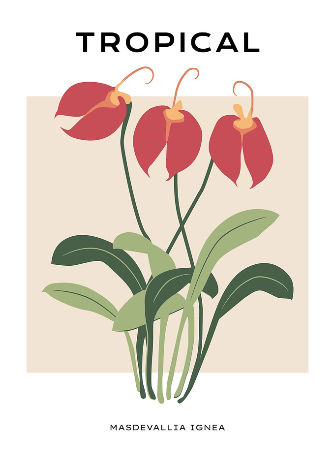 Tropical Red floral leaves