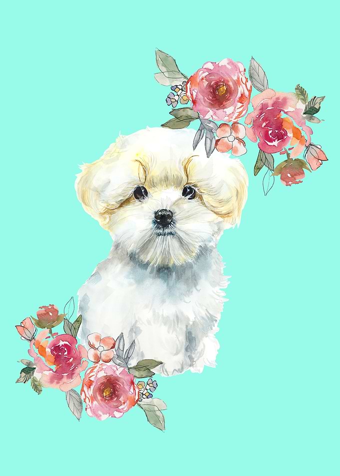 Maltese Watercolor Art