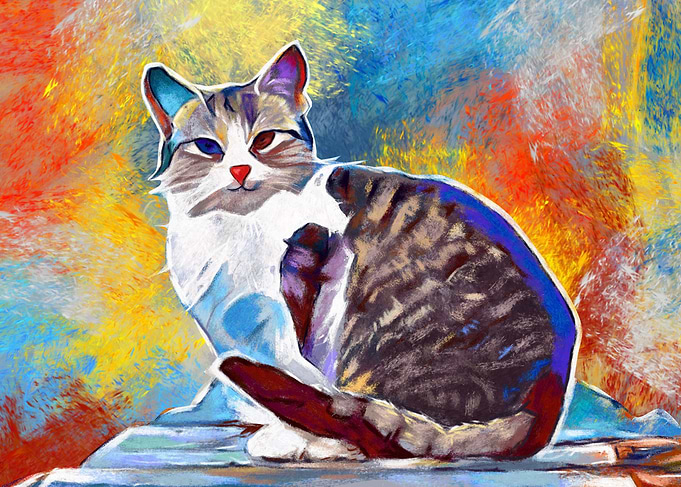 cat