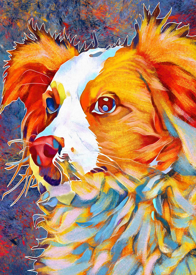 dog
