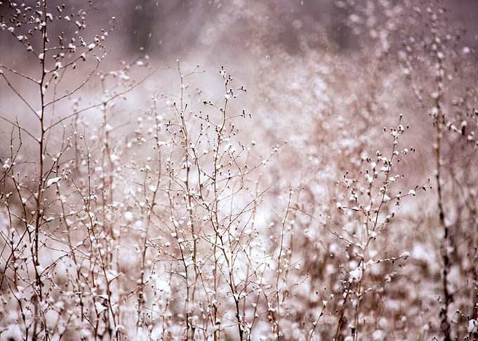Valley of white