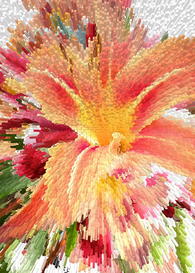 Lilly flowers overlay