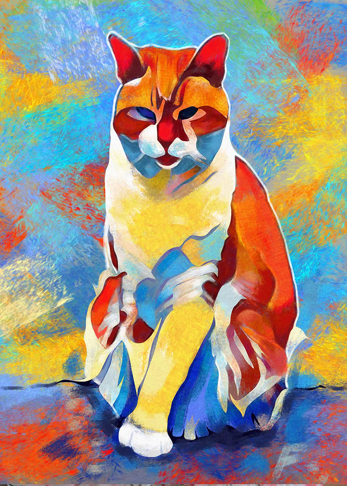 cat