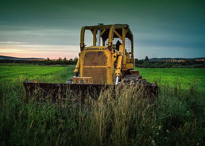 Old Caterpillar in nature