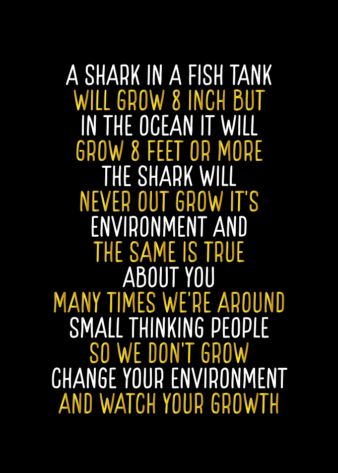 Shark in a fish tank