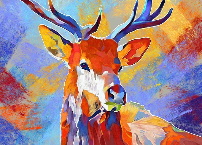 deer