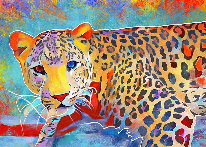leopard