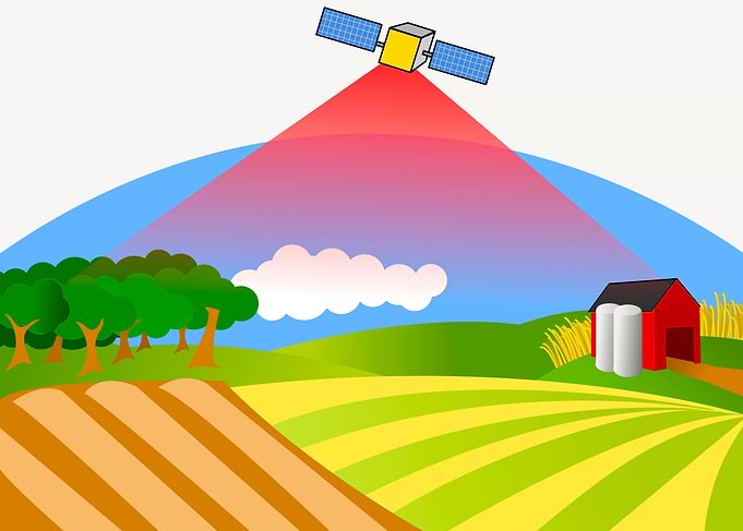Modern Illustrated Farms