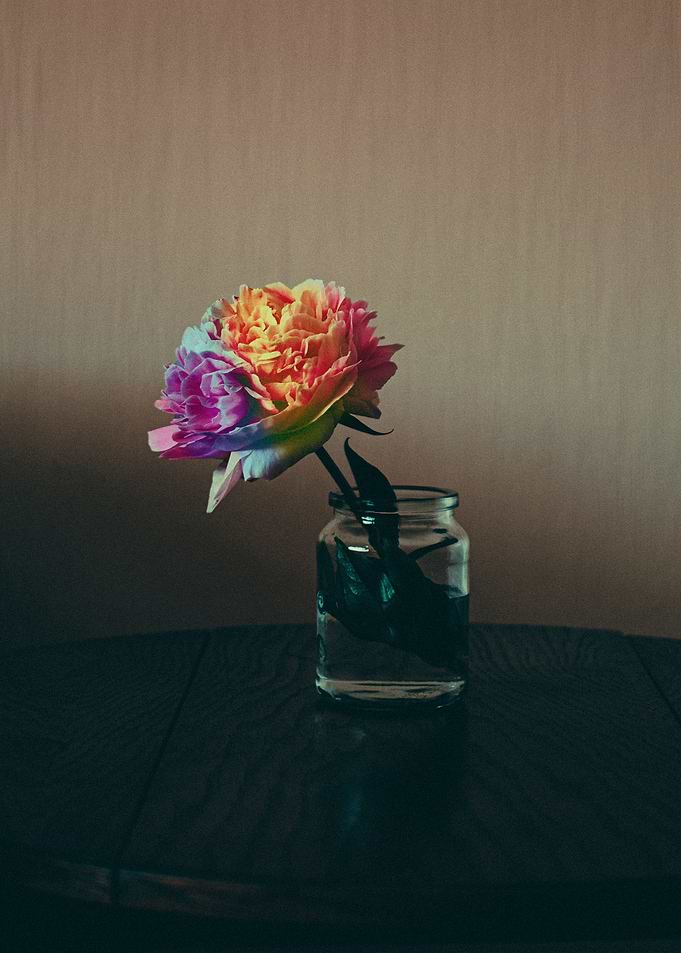lisa fotios flower
