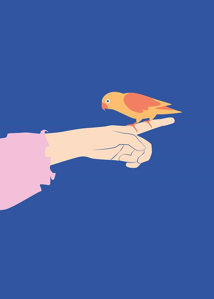 Sparrow sitting in finger