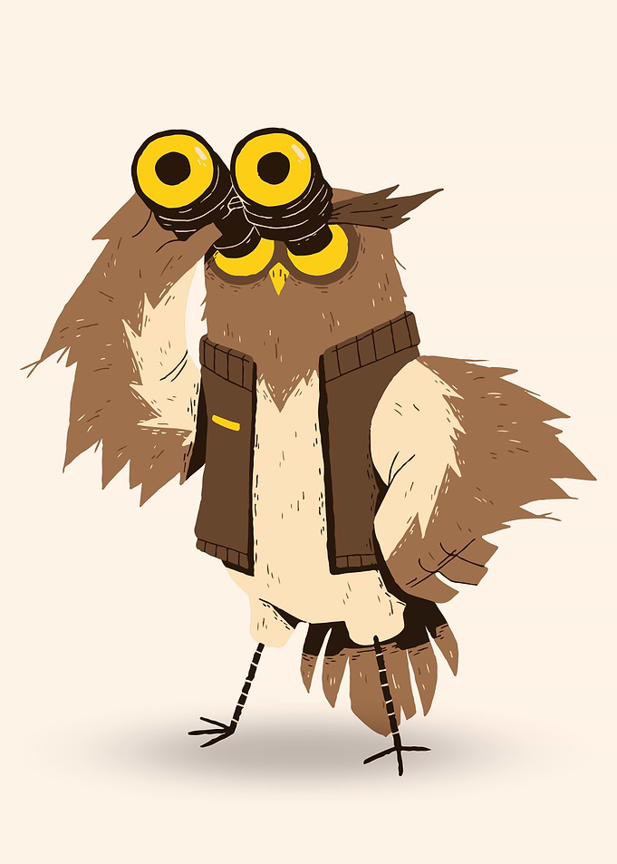 Camping Owl