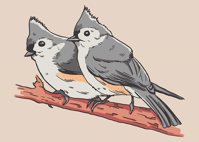 Birds on tree