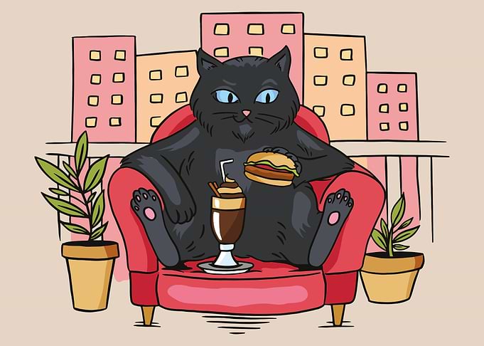 Cat on balcony