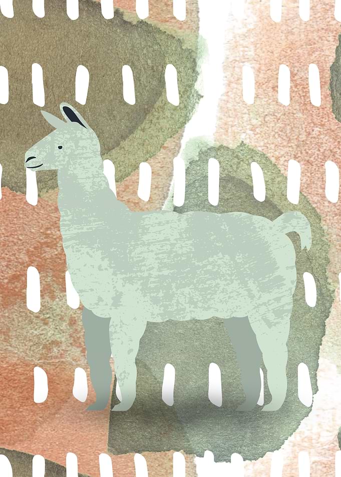 Lama Drama