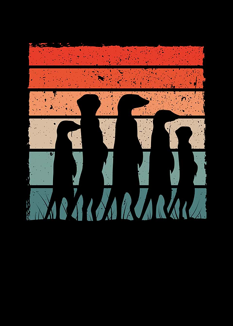 Meerkat retro colour