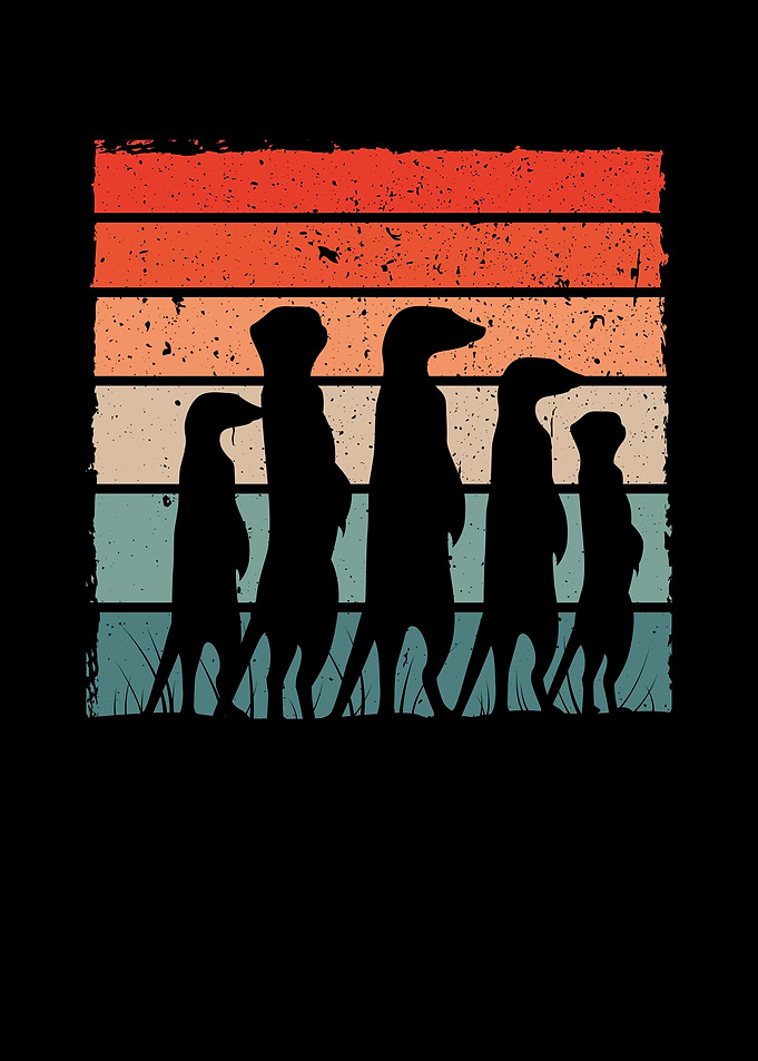 Meerkat retro colour