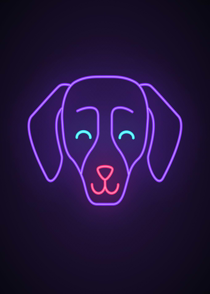 Dog animal