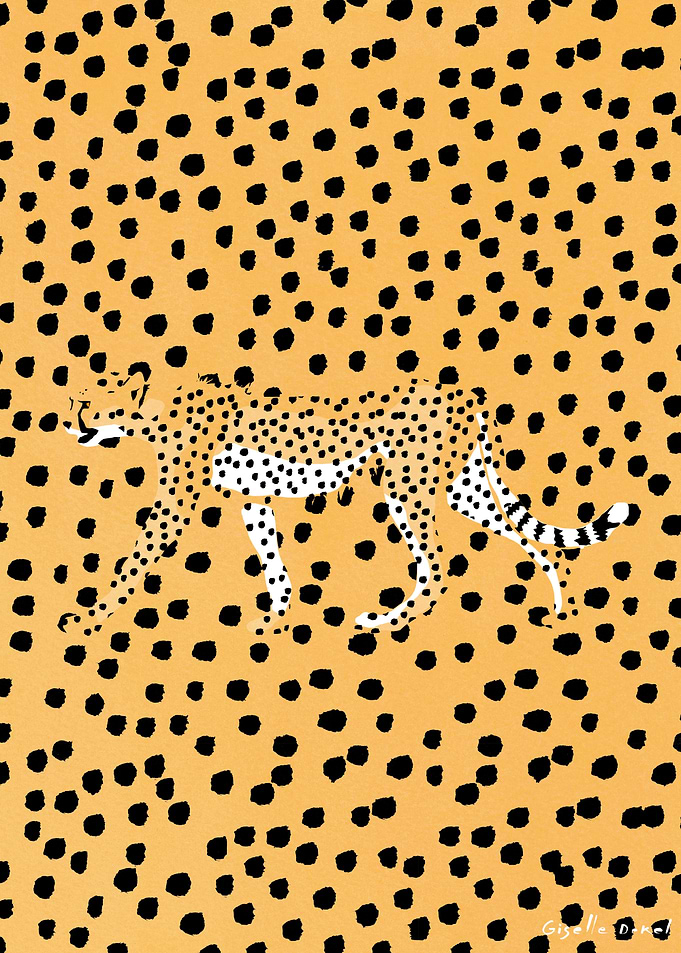 Cheetah