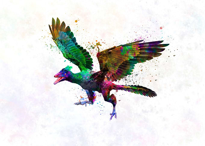 Archaeopteryx dinosaur