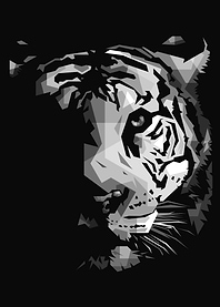 wild tiger head poster