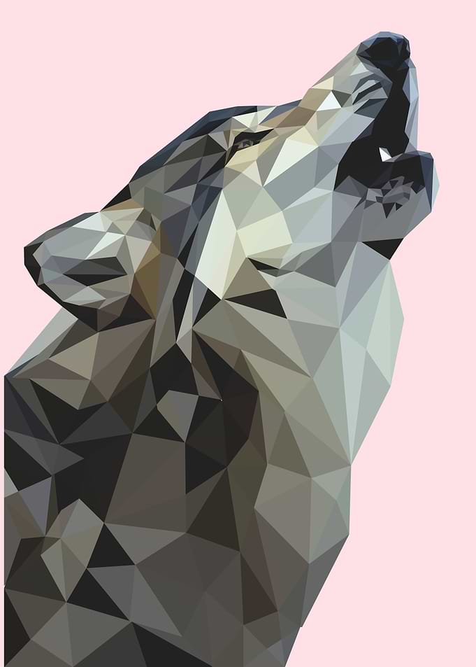 nursery animal wolf