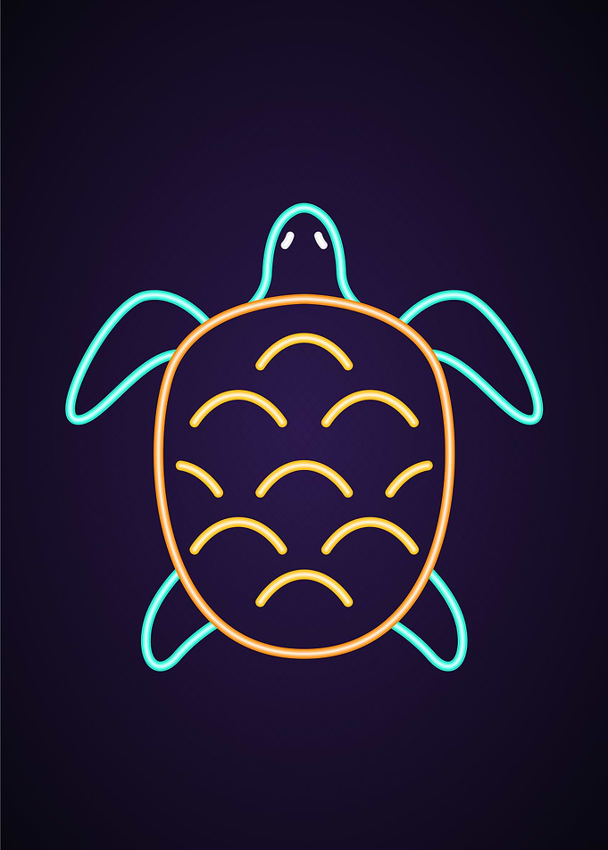 Turtle Animal