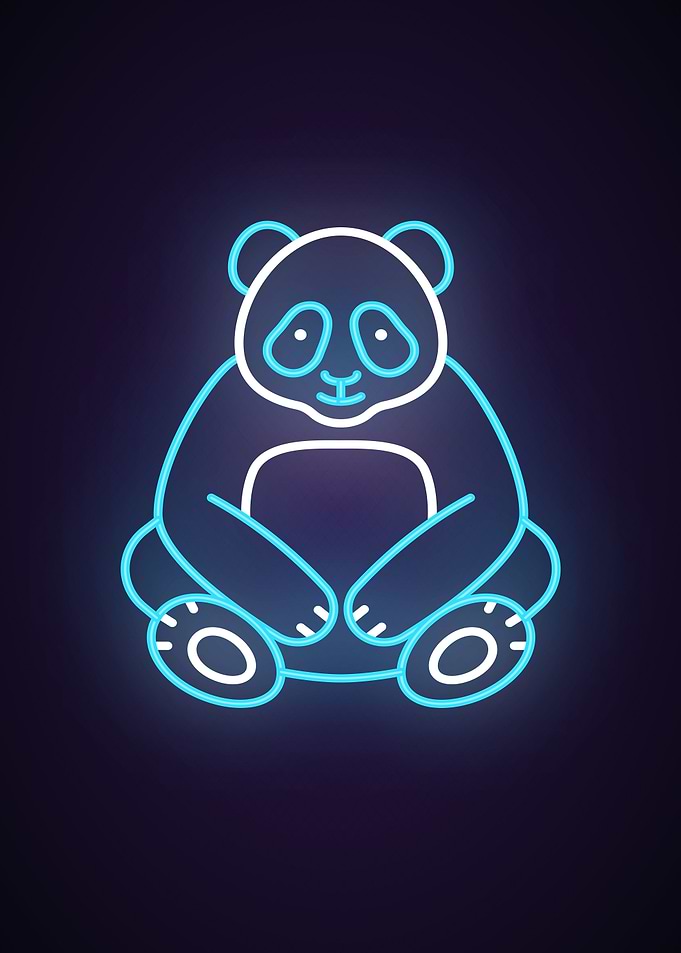 Panda Animal