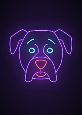 Dog animal