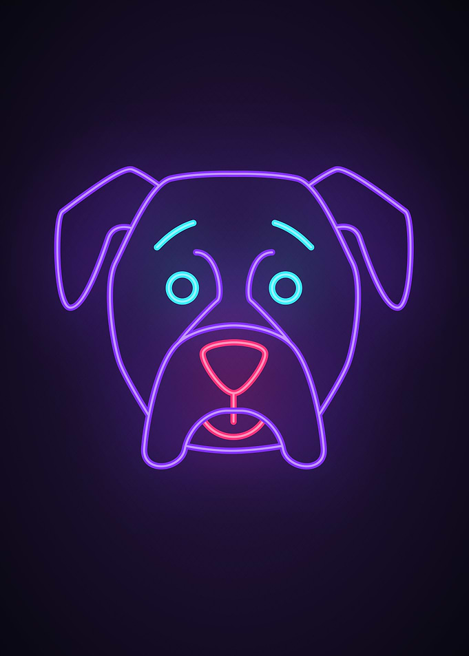 Dog animal