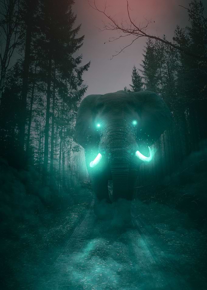 Astro Elephant
