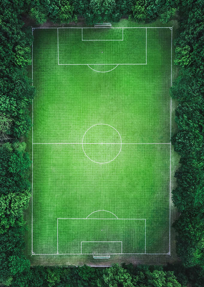 Soccerfield in the woods