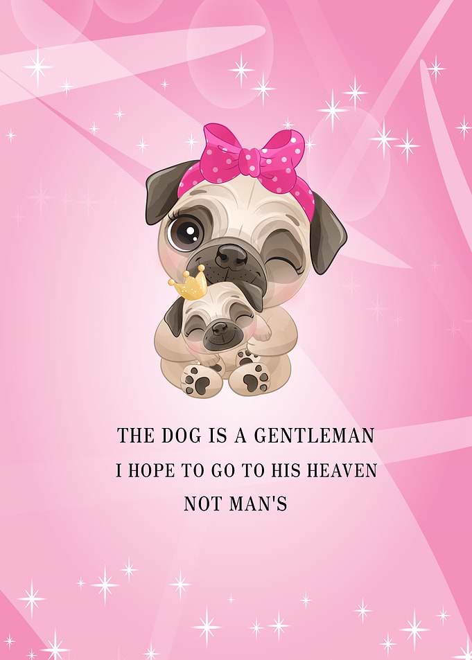 Animal Quotes