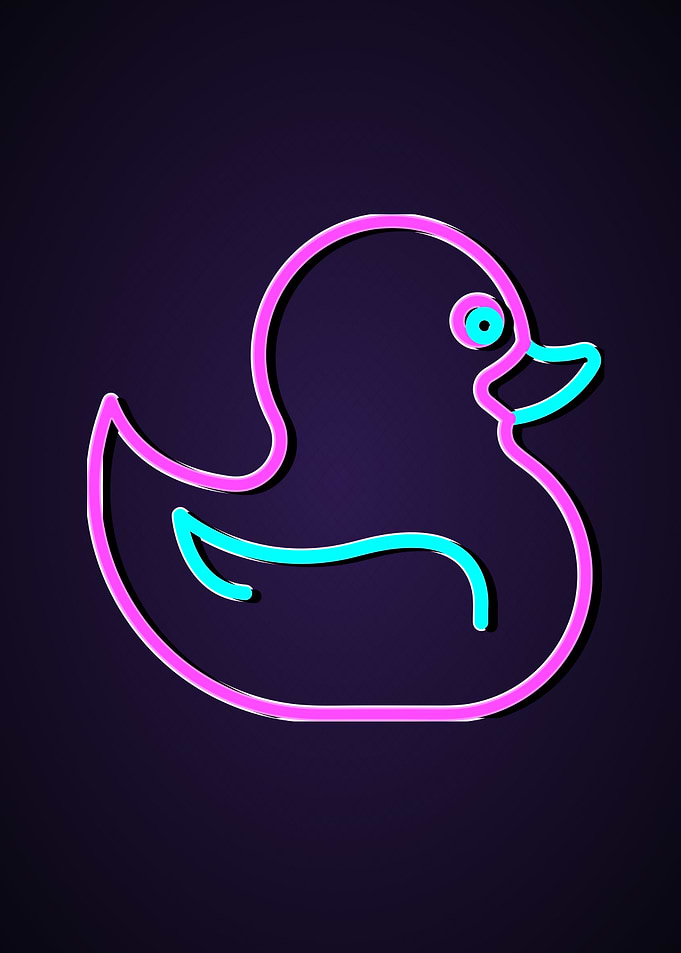 Duck Animal