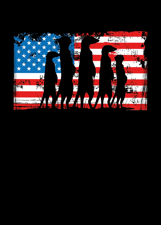 Meerkat on america flag