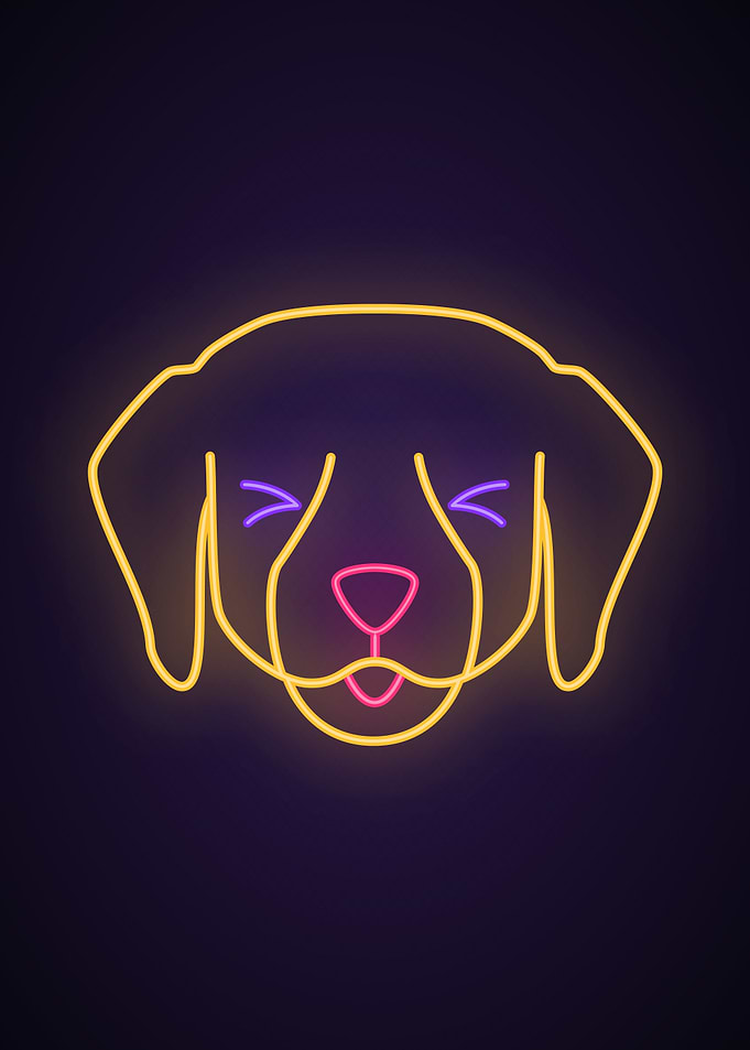 Dog animal