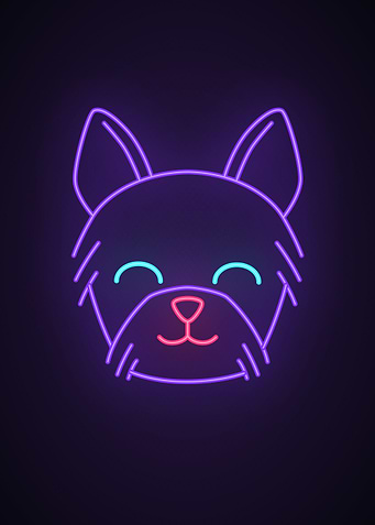 Dog animal