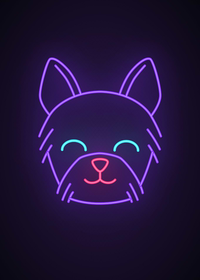 Dog animal