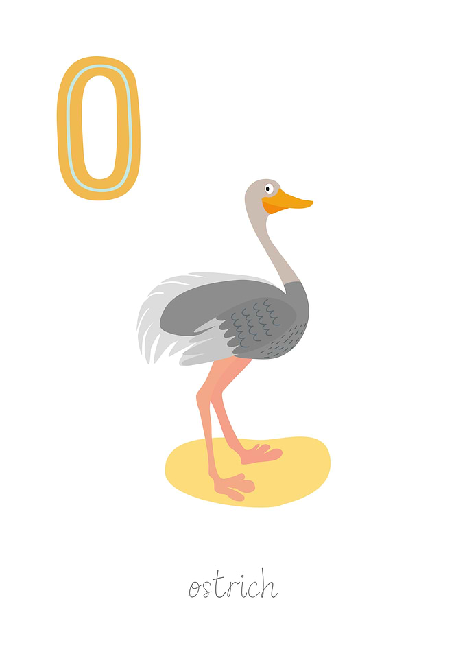 Animal Alphabet O Ostrich