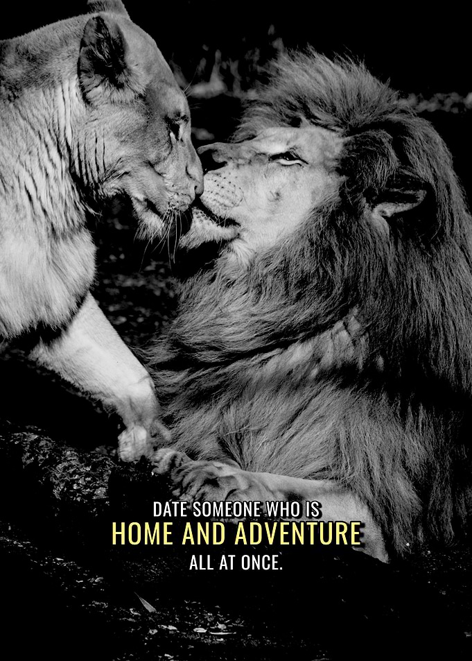 Home and Adventure