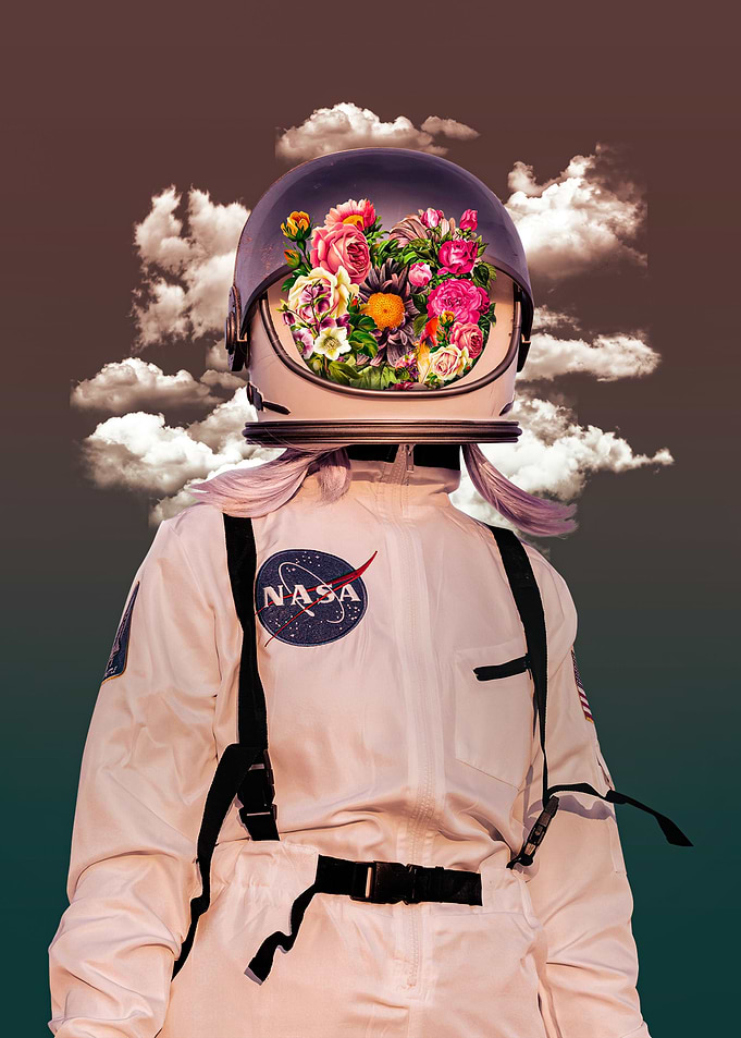 Bloom