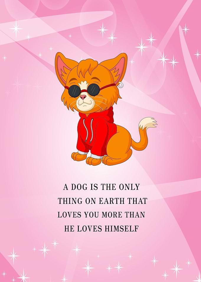 Animal Quotes
