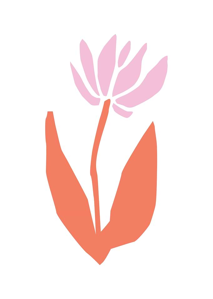 Botanical tropical flowers