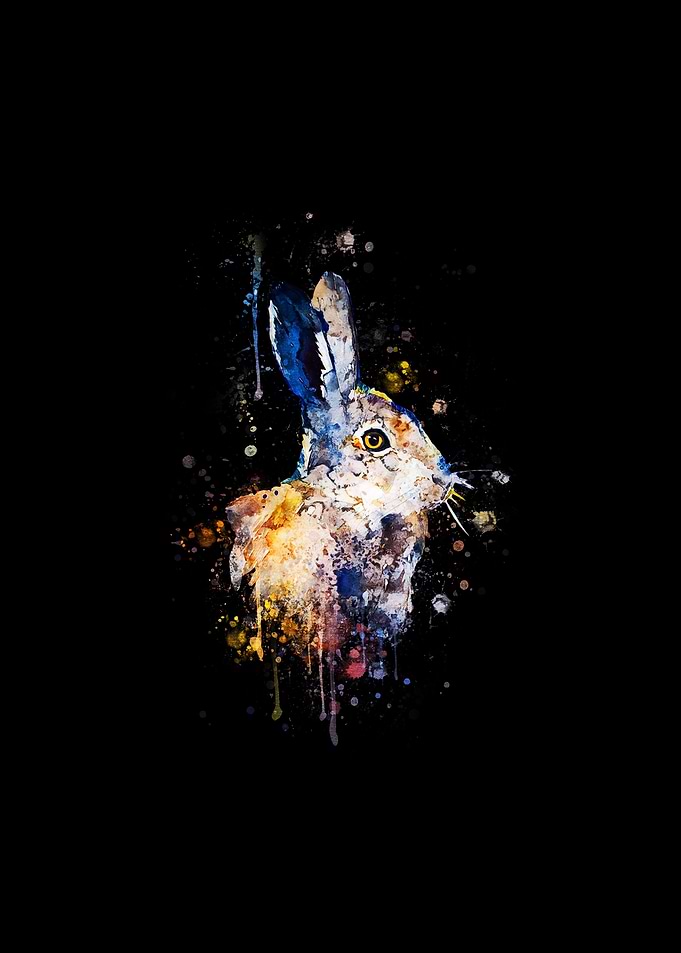 HARE