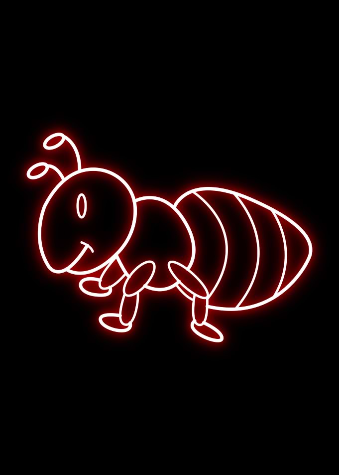 Ants Animal