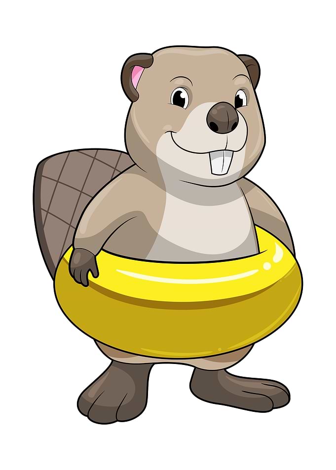 Beaver Swimming Swim ring