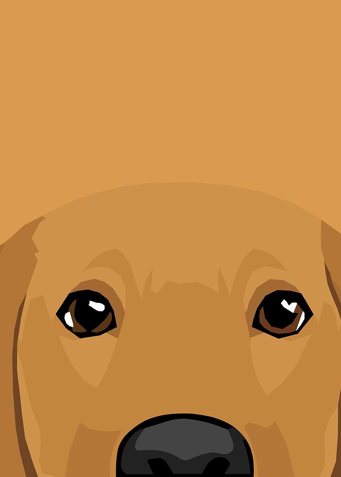 Brown Dog