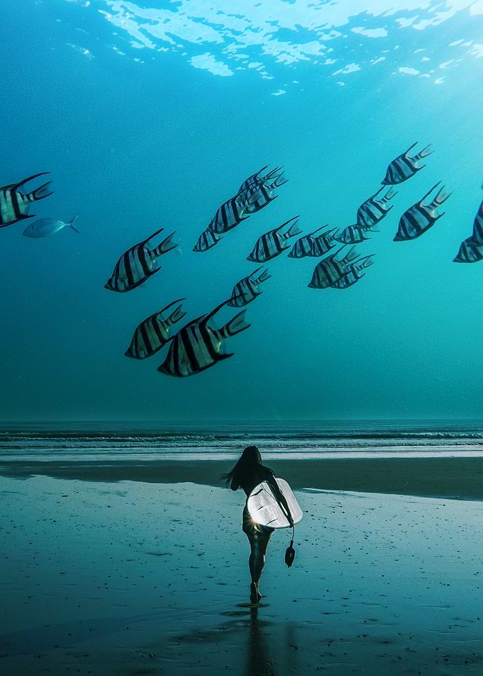 Fish crossing
