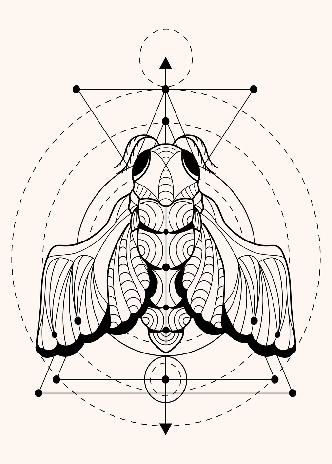 Geometric cicada insect