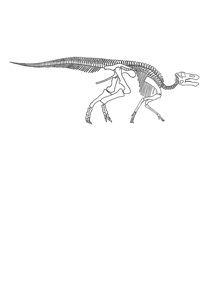 Dinosaurier Edmontosaurus